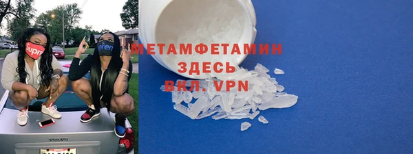 прущие грибы Беломорск