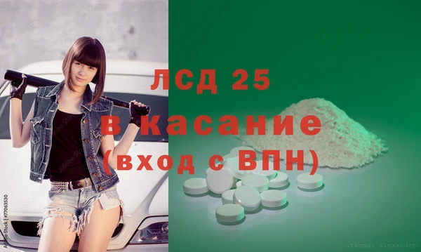 прущие грибы Беломорск