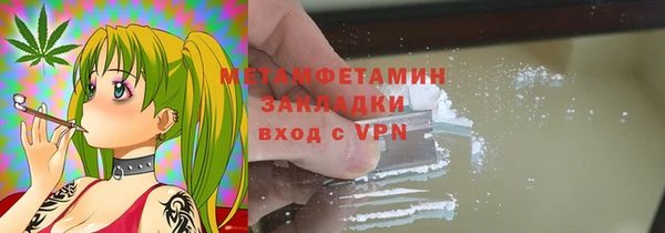 прущие грибы Беломорск