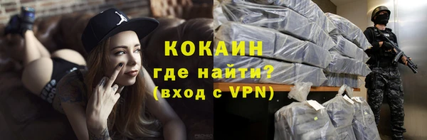индика Богданович