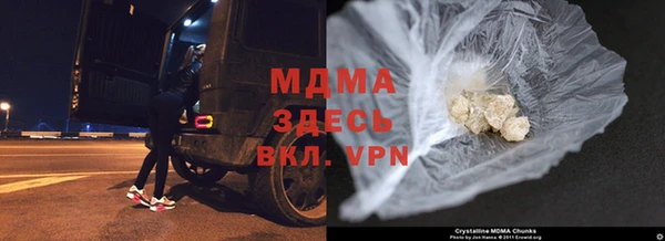 прущие грибы Беломорск