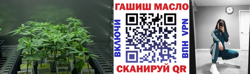 Купить где  Нижний Тагил  Дистиллят ТГК Wax 
